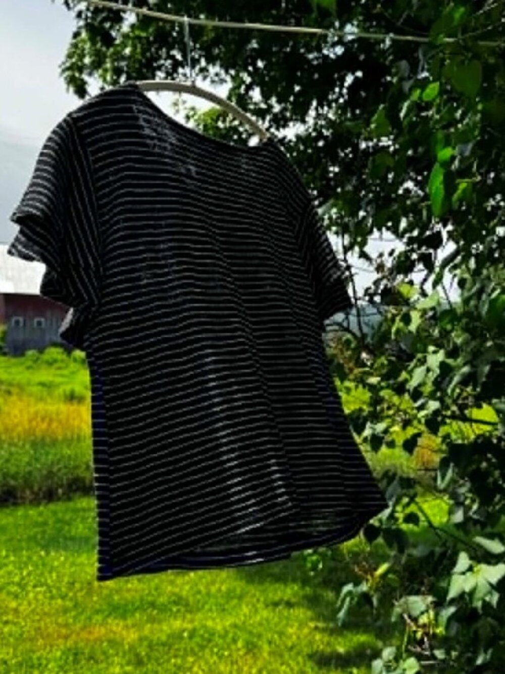 W5 Concepts Black and White Striped Tee with Double Ruffled Sleeves - Picture 2 of 3